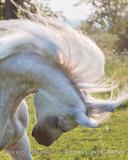 My definition of "feel"