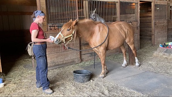 Scentwork with Fi, adding “dead” container