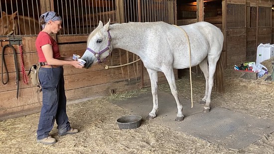 Scentwork with Siri, adding “dead” container
