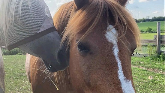 Complex relationships