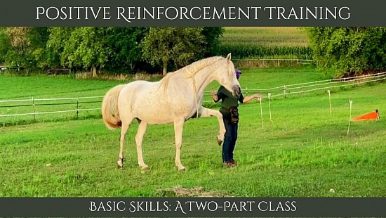 basic skills class