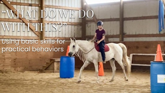 Next steps: using basic skills for practical behaviors