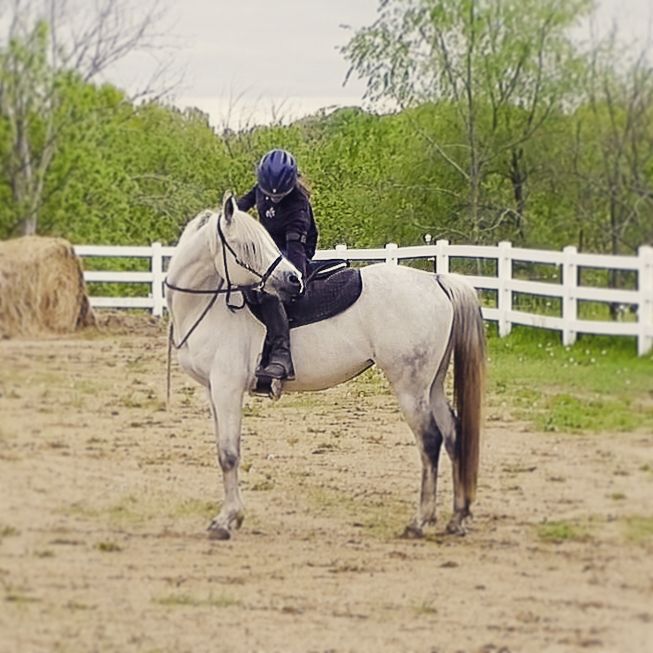 positive reinforcement