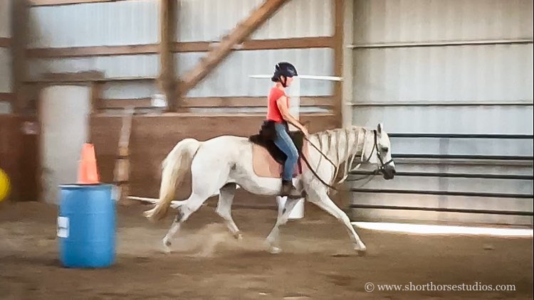 positive reinforcement training