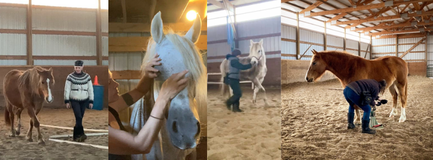 R+ Mini Demo at That Zen Farm